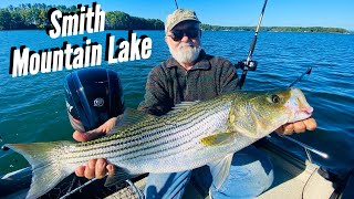 Smith Mountain Lake Striper [upl. by Alard]