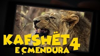 Kafshët e Çmendura  E4 [upl. by Deane]