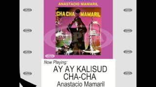 Cha Cha Pinoy Non Stop 19 Songs  Anastacio Mamaril [upl. by Nyledaj897]