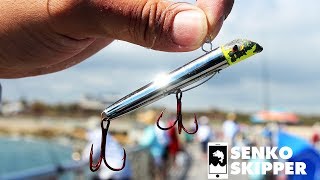 CRAZY PIER FISHING ACTION W GOTCHA LURES [upl. by Eyeleen]