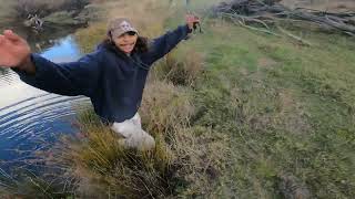 Trout fishing Oberon NSW [upl. by Isador]