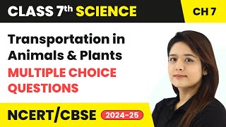 Transportation in Animals and Plants  Multiple Choice Questions  Class 7 Science Ch 7  CBSE 2024 [upl. by Wachtel262]