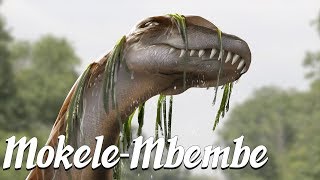 Mokele Mbembe Mysterious Legends amp Creatures 3 [upl. by Morey]