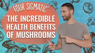 Four Sigmatic The Incredible Health Benefits Of Mushrooms [upl. by Latton]