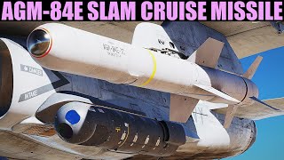 FA18C Hornet AGM84E SLAM Cruise Missile Tutorial  DCS WORLD [upl. by Atillertse563]