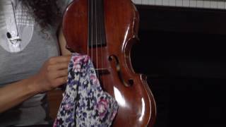 How to Play the Viola [upl. by Iridis]