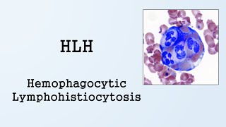 Hemophagocytic Lymphohistiocytosis HLH [upl. by Savitt]