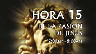 15 de 24 I Horas de la Pasión de Jesús Luisa Piccarreta Divina Voluntad [upl. by Ardnikat980]