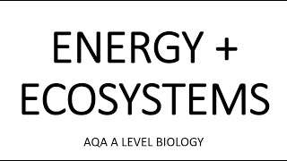 ENERGY amp ECOSYSTEMS  AQA A LEVEL BIOLOGY  EXAM QUESTIONS RUN THROUGH [upl. by Iahcedrom312]