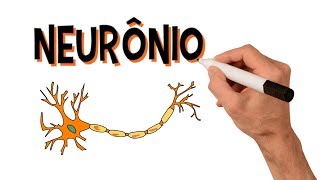 ✅ NEURÔNIOS e NEUROTRANSMISSORES  Estrutura [upl. by Atiuqel951]