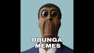 OBUNGA MEMES COMPILATION [upl. by Aicilla]