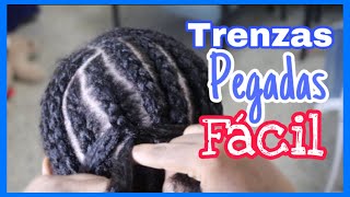 COMO HACER TRENZAS PEGADAS PARA PRINCIPIANTES [upl. by Lebanna]