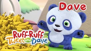 RuffRuff Tweet amp Dave Meet Dave  Universal Kids [upl. by Dnartreb348]