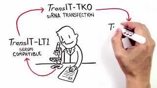 The Simplicity of Transfection [upl. by Fidel]