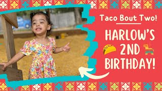 Harlow’s 2nd Birthday Fiesta 🪅 🌮 [upl. by Akinihs]