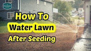 How To Water Your Lawn After Seeding [upl. by Inatirb]