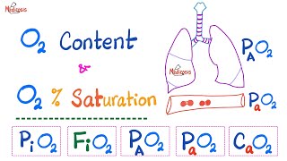 Oxygen Content  Oxygen Saturation SaO2   Oxygen Partial Pressure  Respiratory Physiology [upl. by Alemap]