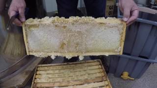 Extracting Honey The Basics [upl. by Nueovas893]