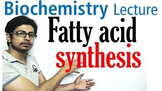 Fatty acid synthesis [upl. by Brynne]