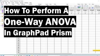 How To Perform A OneWay ANOVA In GraphPad Prism [upl. by Bram]