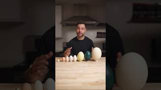 I Cooked the World’s CRAZIEST Eggs [upl. by Atikim]