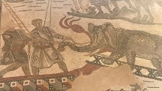 How did the Romans Capture Animals for the Colosseum [upl. by Nirred753]