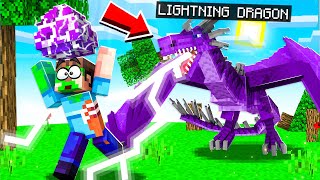 STEALING A LIGHTNING DRAGON EGG IN MINECRAFT [upl. by Eiramnaej]