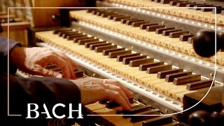 Bach  Concerto in D minor BWV 596  Van Doeselaar  Netherlands Bach Society [upl. by Azial463]