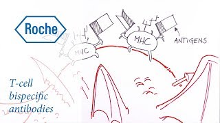 Drawn to Science  Tcell bispecific antibodies [upl. by Hahn426]