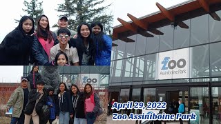 Zoo Assiniboine Park 🐻🐯  CanadaJourney 🇨🇦  BeltranFam🤍 [upl. by Alym577]