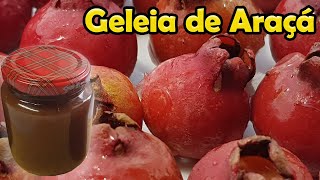 Geleia de Araçá vermelho Passo a Passo  Fruit Jelly Araçá Brasilian Fruit [upl. by Gillett]