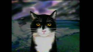 The Mousehole Cat 1994 Cartoon Film [upl. by Vijar]