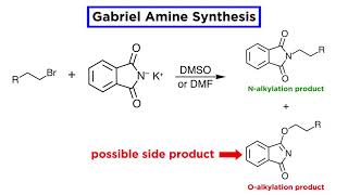 Gabriel Amine Synthesis [upl. by Donoghue]