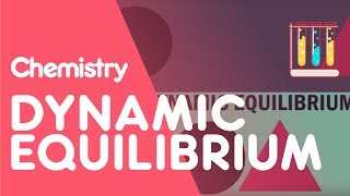 Chemical Equilibrium Le Chateliers Principle [upl. by Albarran]