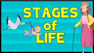 Stages of Life  Vocabulary  Minimal English [upl. by Eram]