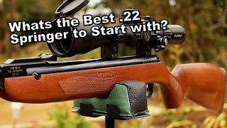 Weihrauch HW99S  Best 22 Inexpensive Beginner Airgun  IMO [upl. by Nivlag]