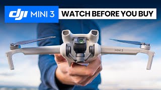 DJI MINI 3  NEW Budget Entry Level Beginner Drone [upl. by Jen]