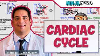 Cardiovascular  Cardiac Cycle [upl. by Jollanta]