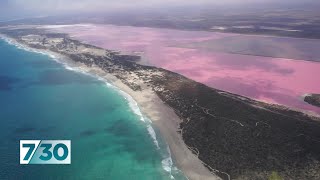 Western Australias Pink Lake threatened by tourist boom  730 [upl. by Lleraj]