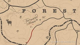 Red Dead Redemption 2 American Robin Location [upl. by Akiehsal622]