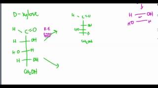 Carbohydrates 22 Kiliani Fischer Reaction [upl. by Tyne291]