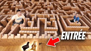 LABYRINTHE GÉANT EN CARTON POUR NOS POUSSINS 🐥 [upl. by Roxy188]