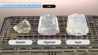 Characteristics of Alginate quotHeat Resistancequot [upl. by Redwine]