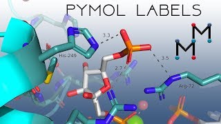 PyMOL Labels That actually look good [upl. by Steffi]