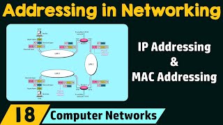 Intro to Networks part 1 [upl. by Ubald636]