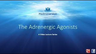 The Adrenergic Agonists [upl. by Sailesh]