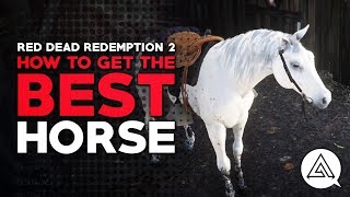 Red Arabian Horse locations  Red Dead Redemption 2 Story mode [upl. by Sylirama]