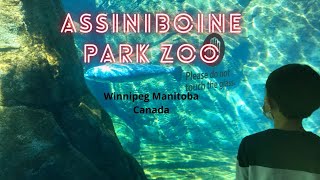 Exploring ASSINIBOINE PARK ZOO Winnipeg Manitoba Canada [upl. by Inkster952]