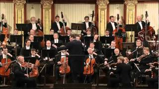 Beethoven Sinfonia 5 [upl. by Tonye910]