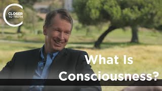 Donald Hoffman  What is Consciousness [upl. by Halak]